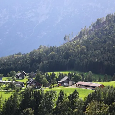 Apartment Stapflhof *